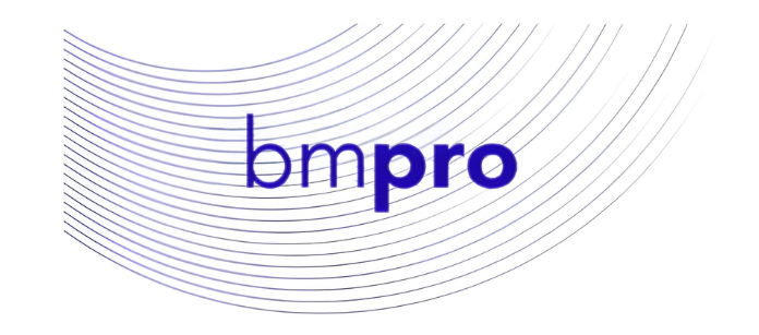 BMPro Consulting Services LLP